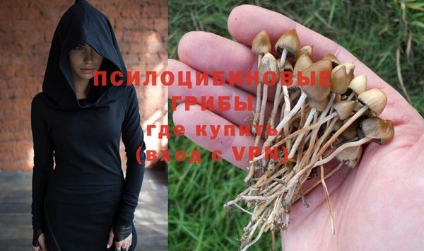 спиды Липки